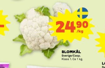 Stora Coop Coop blomkål erbjuda