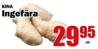 Matdax Ingefära erbjuda
