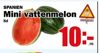 Matdax Mini vattenmelon erbjuda