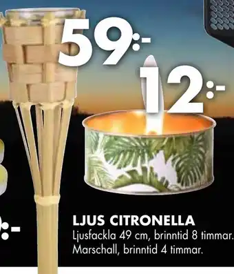 ÖoB Ljus Citronnella erbjuda