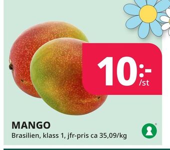 Tempo Mango erbjuda
