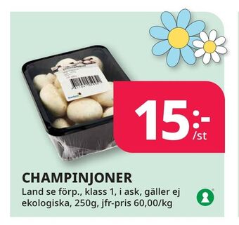 Tempo Champinjoner erbjuda