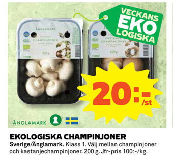 Coop Ekologiska Champinjoner erbjuda