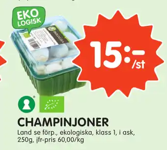 Tempo Champinjoner 250g erbjuda