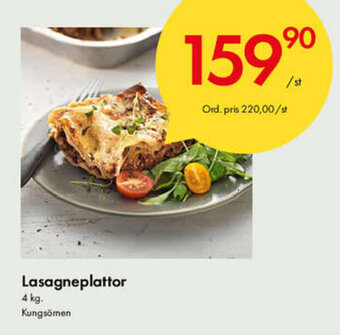 Snabbgross Lasagneplattor erbjuda