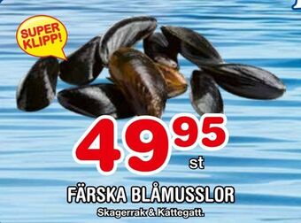 Nya Pulsen Färska blåmusslor erbjuda