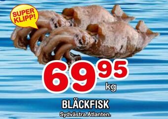 Nya Pulsen Bläckfisk erbjuda