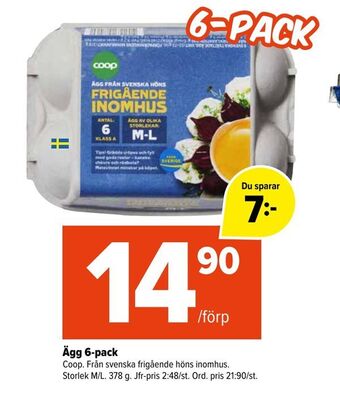 Ägg 6-pack
