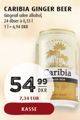 Scandinavian Park Caribia ginger beer erbjuda
