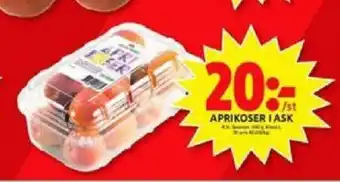 Aprikoser i ask