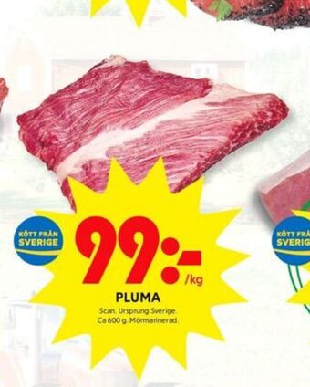 Scan pluma