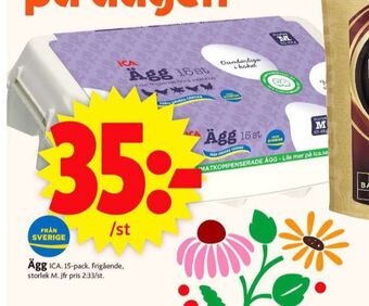 ICA Supermarket Ica ägg erbjuda