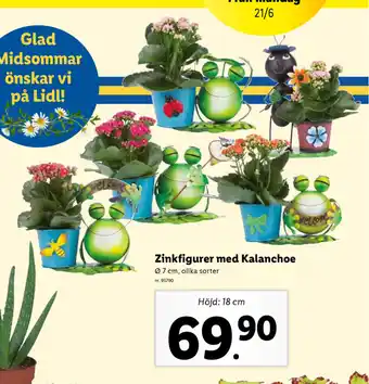 Lidl Zinkfigurer med kalanchoe erbjuda