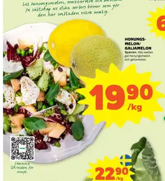 Senses honungsmelon