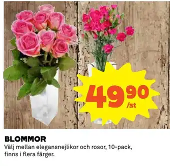Blommor