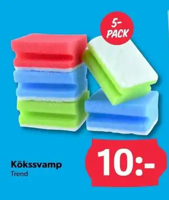 Kökssvamp
