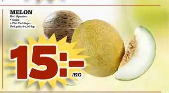 Melon