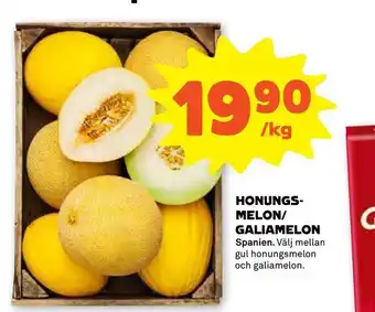 Honungs- melon/ galiamelon