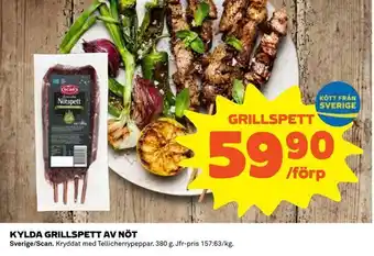 Kylda grillspett av nöt