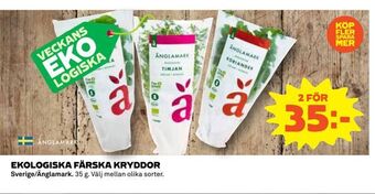 Coop Ekologiska färska kryddor erbjuda