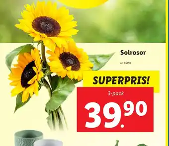 Solrosor