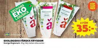 Coop Daglivs Ekologiska färska kryddor erbjuda