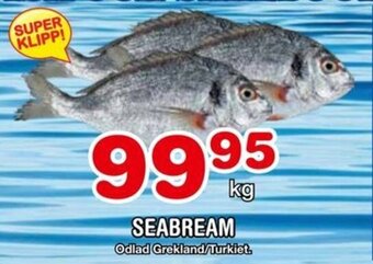 Nya Pulsen Seabream erbjuda