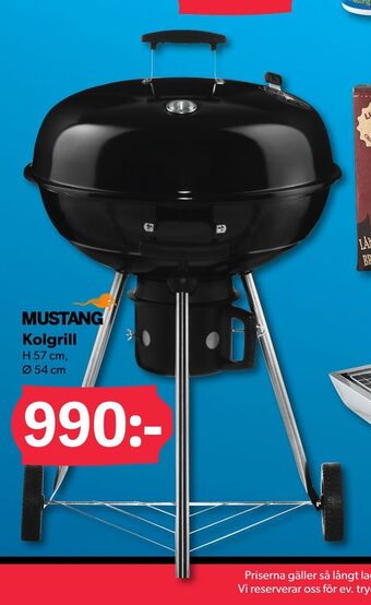 DollarStore Kolgrill erbjuda