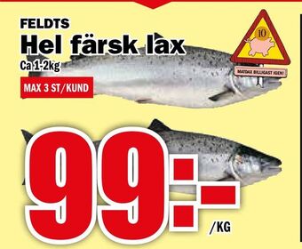 Matdax Hel färsk lax erbjuda