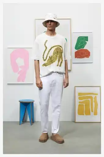 ZARA Sebastian curi graphic t-shirt erbjuda