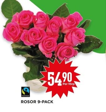 Willys Rosor 9-pack erbjuda
