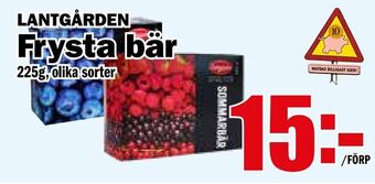 Matdax Frysta bär erbjuda