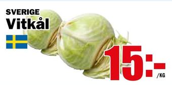 Matdax Vitkål erbjuda