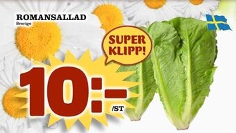 Nya Pulsen Romansallad erbjuda