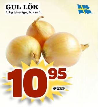 Gul lök
