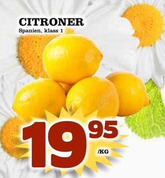 Citroner