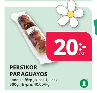 Tempo Persikor paraguayos erbjuda