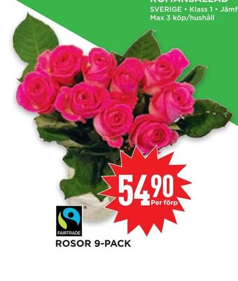 Willys Hemma Rosor 9-pack erbjuda