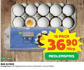 Coop Ägg 12-pack erbjuda