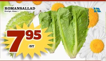 Matdax Romansallad erbjuda
