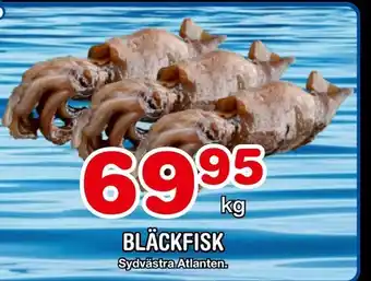 Nya Pulsen Bläckfisk erbjuda