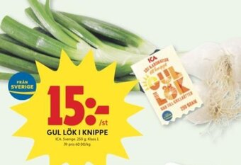 ICA Kvantum Gul lök i knippe erbjuda