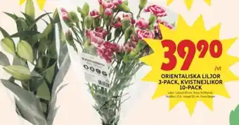 ICA Kvantum Orientaliska liljor 3-Pack, Kvistnejlikor 10-pack erbjuda