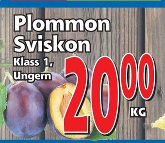 Supergrossen Plommon erbjuda