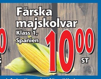 Supergrossen Färska majskolvar erbjuda