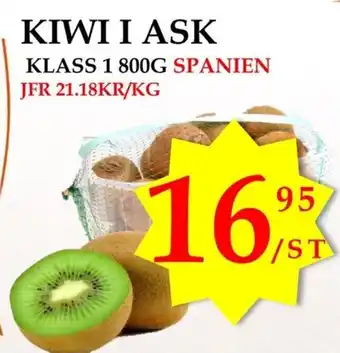 Kiwi I Ask