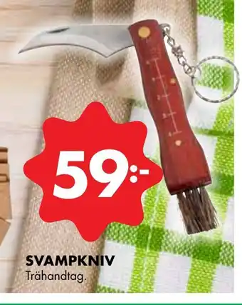 Svampkniv