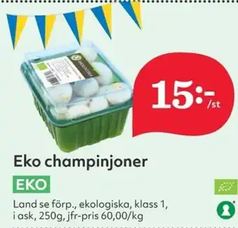 Hemköp Eko champinjoner 250g erbjuda