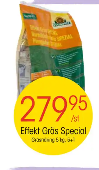 EKO Effekt Gräs Special erbjuda