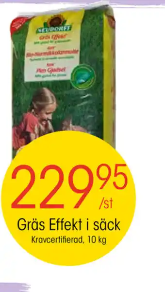 Gräs Effekt i Säck